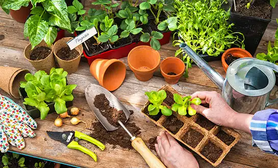 Why Consistency Matters in Bioactive Fertilizer Ingredients